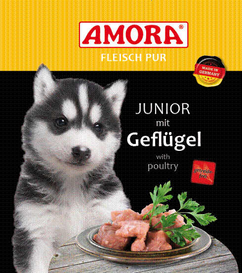 Amora Hund Dose Fleisch pur Junior mit Geflügel 6x400g